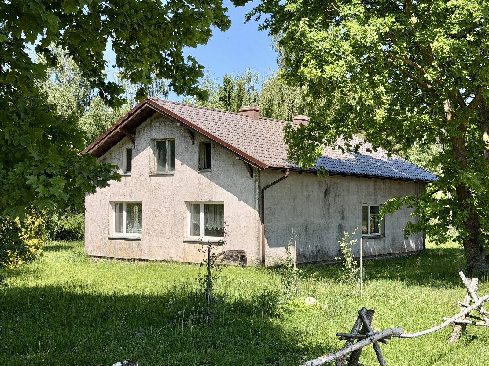 Zdjęcie 1