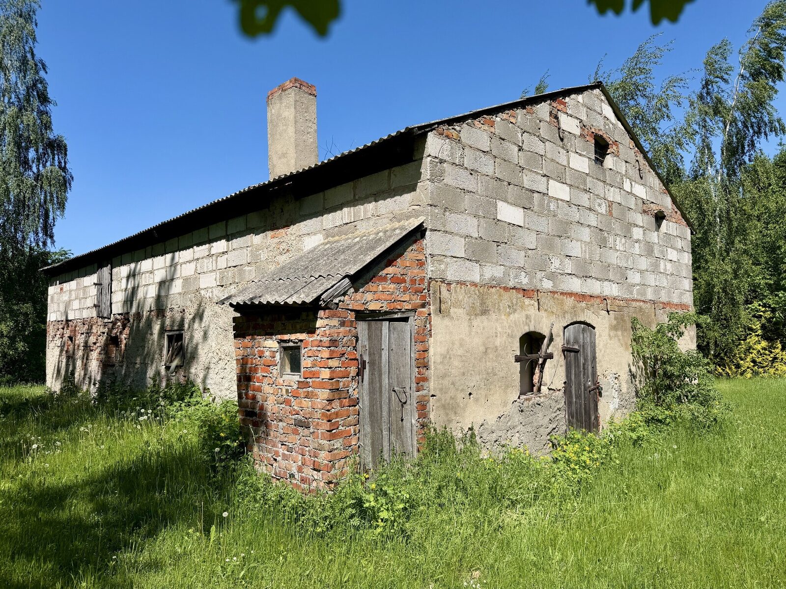 Zdjęcie 7