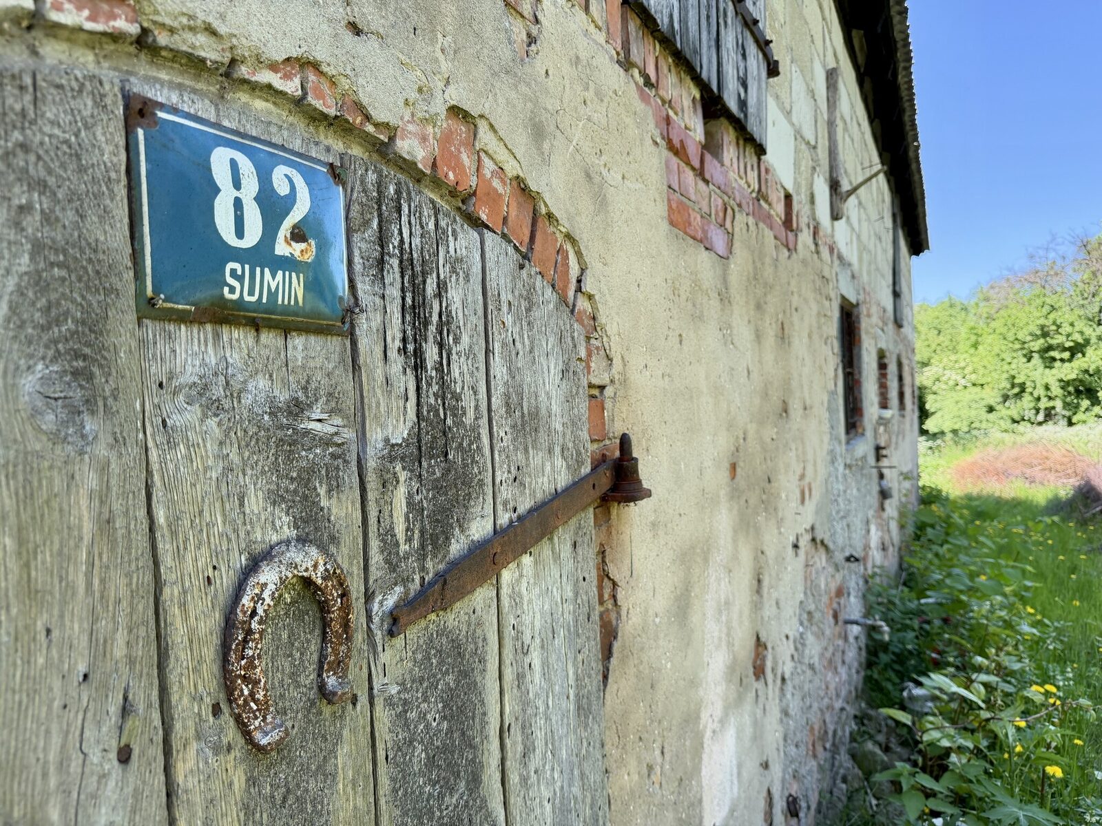 Zdjęcie 23