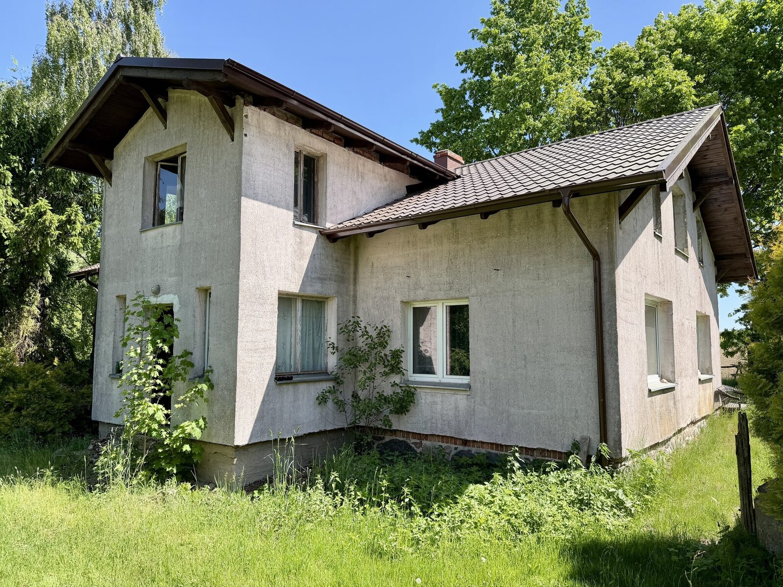 Zdjęcie 8