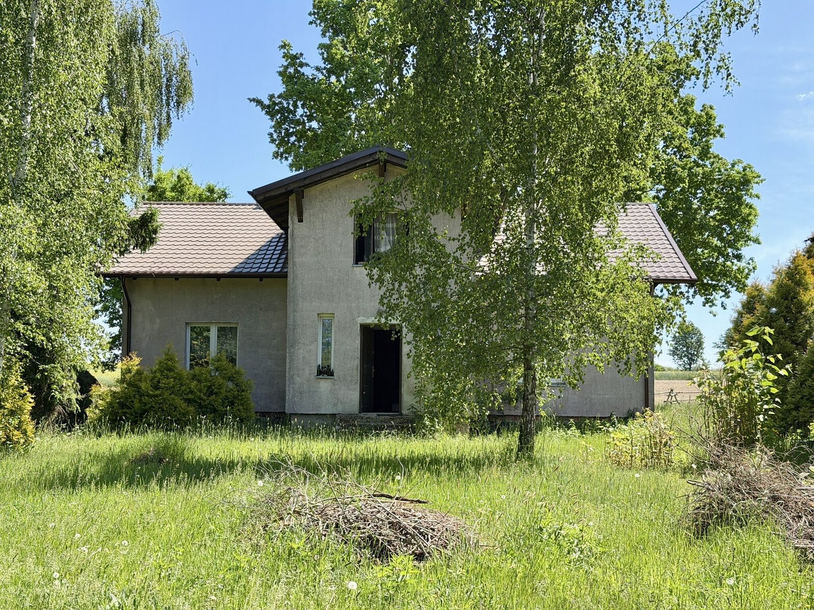 Zdjęcie 9