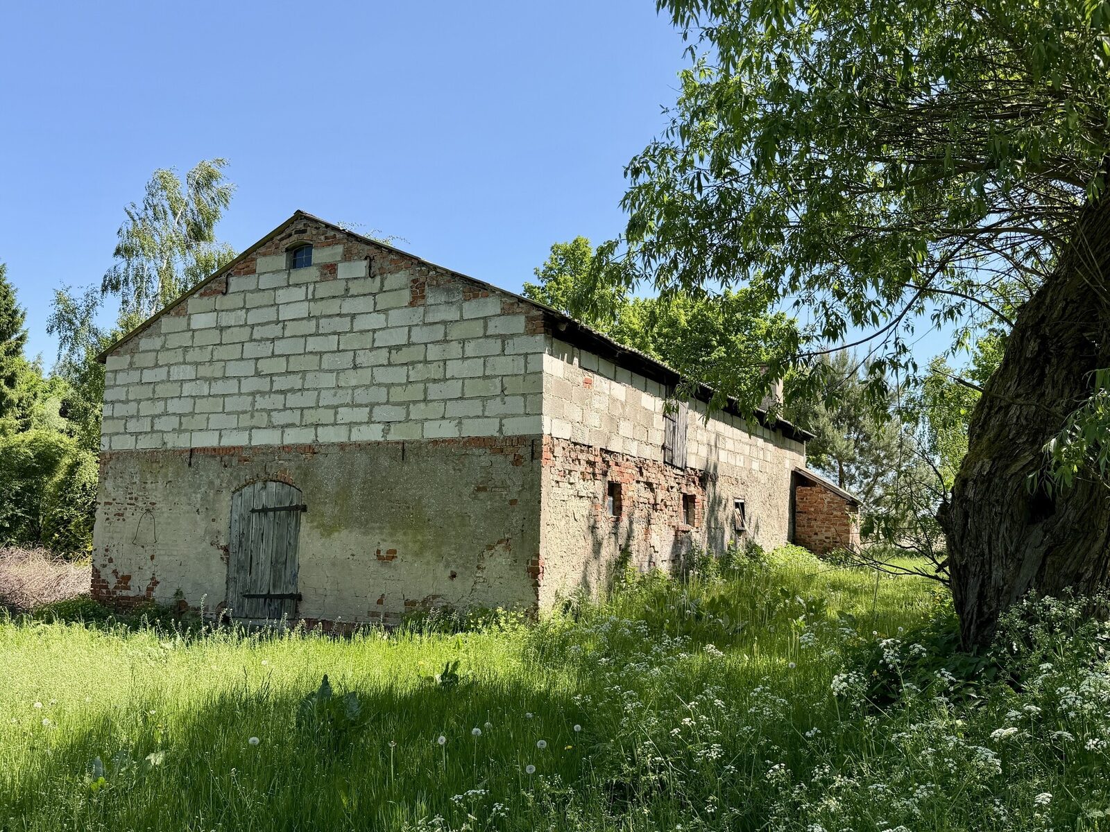 Zdjęcie 16