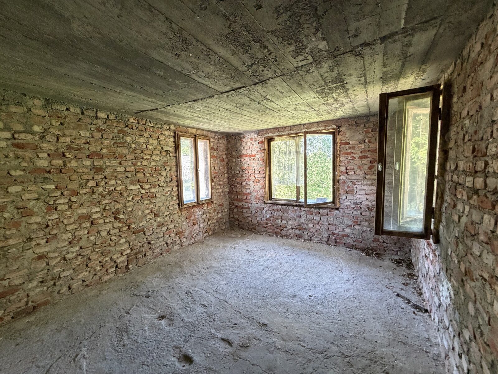 Zdjęcie 19
