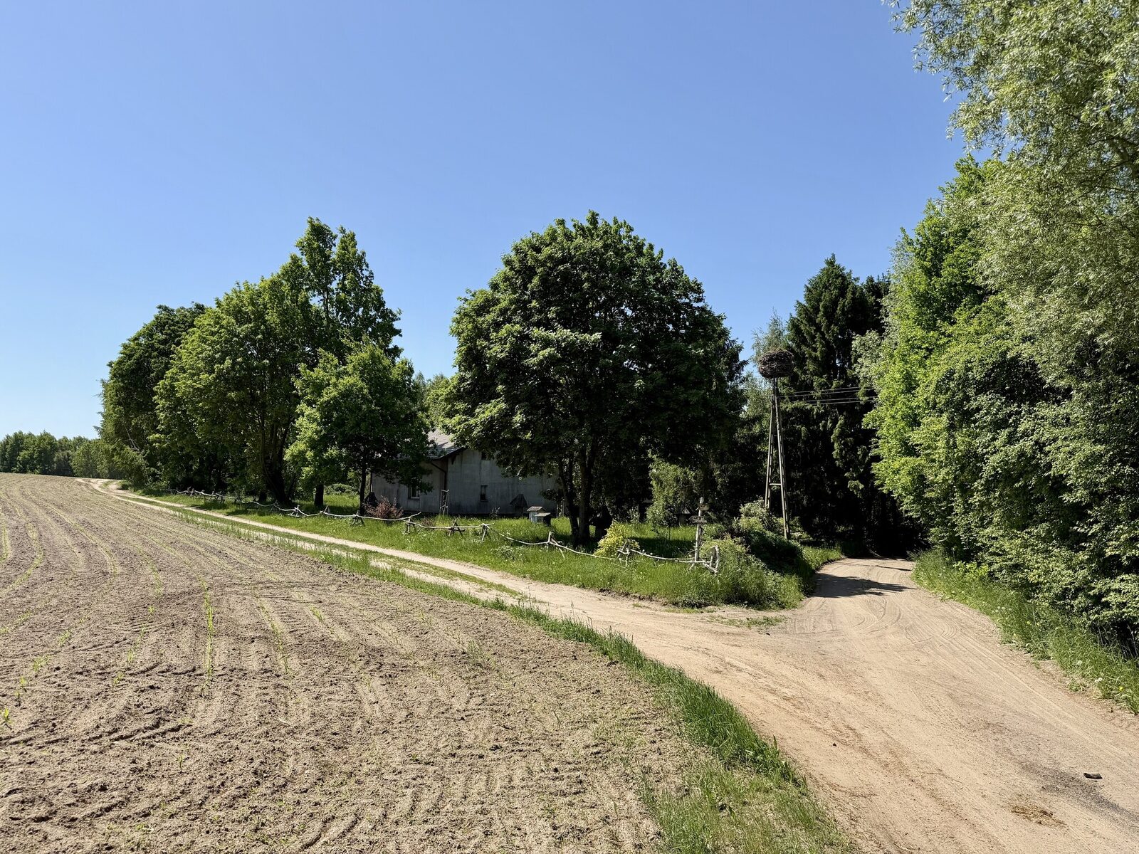 Zdjęcie 17