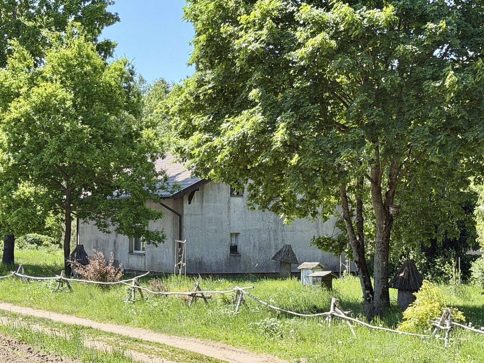 Zdjęcie 11