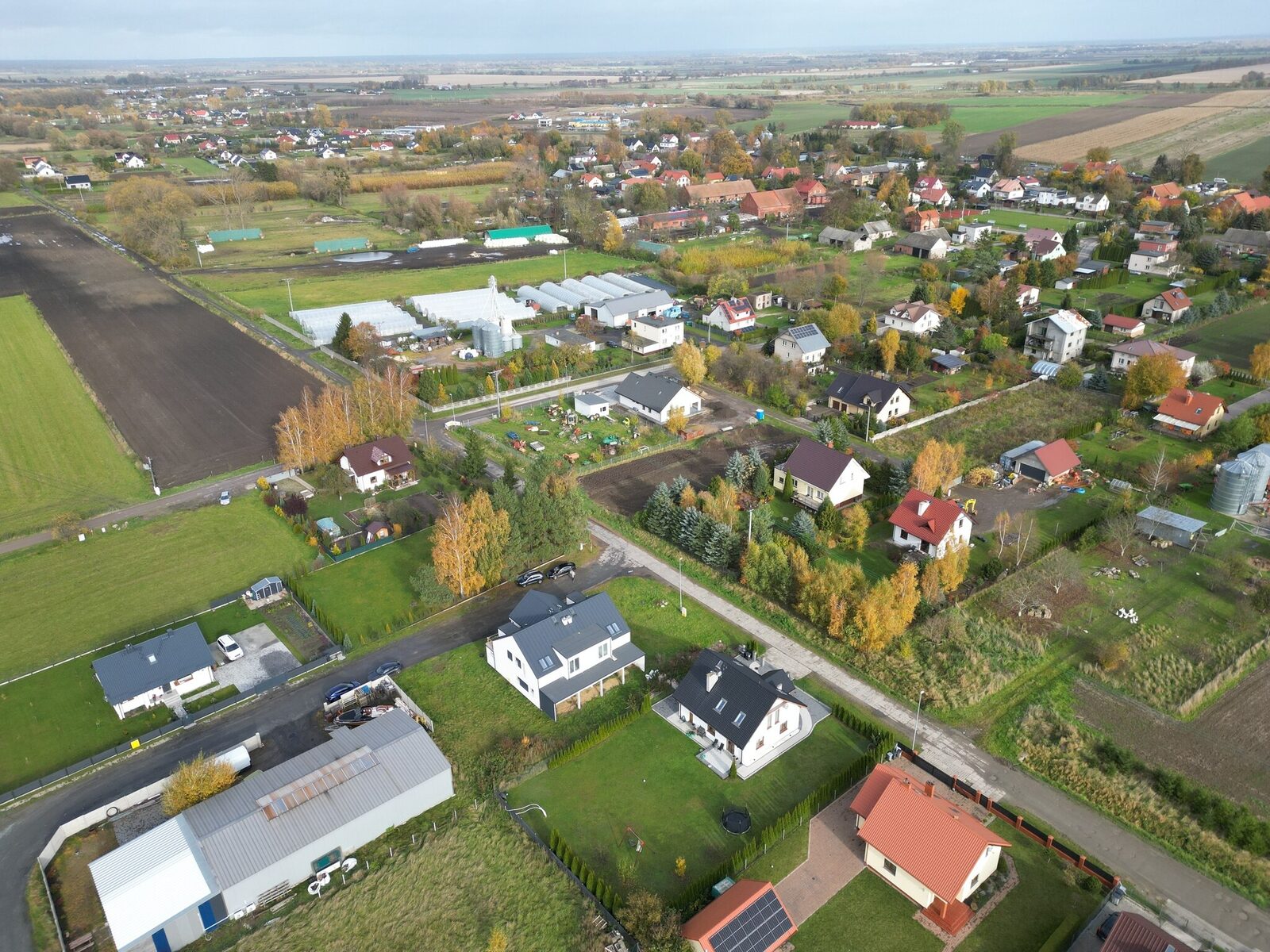 Zdjęcie 18