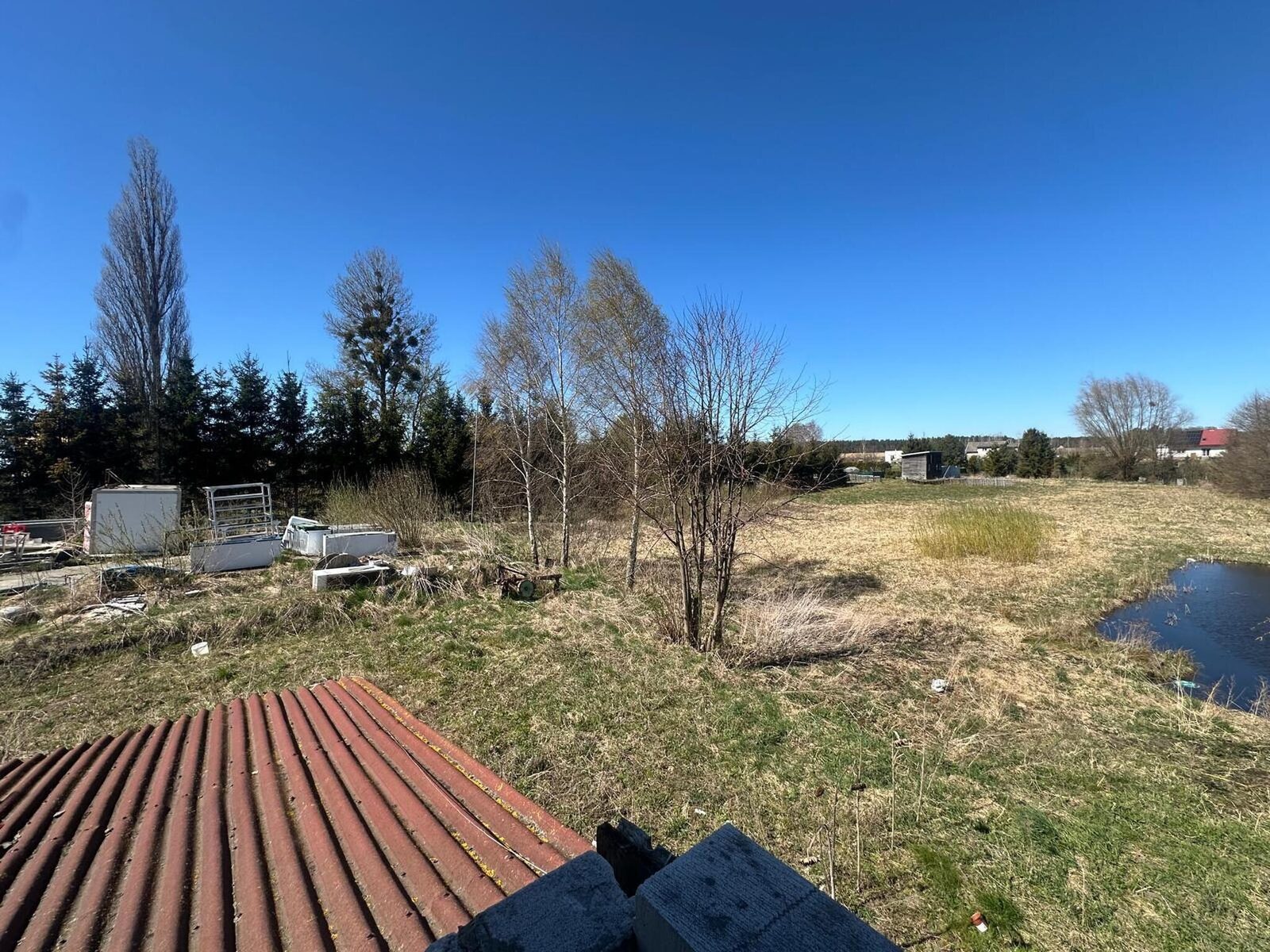 Zdjęcie 31