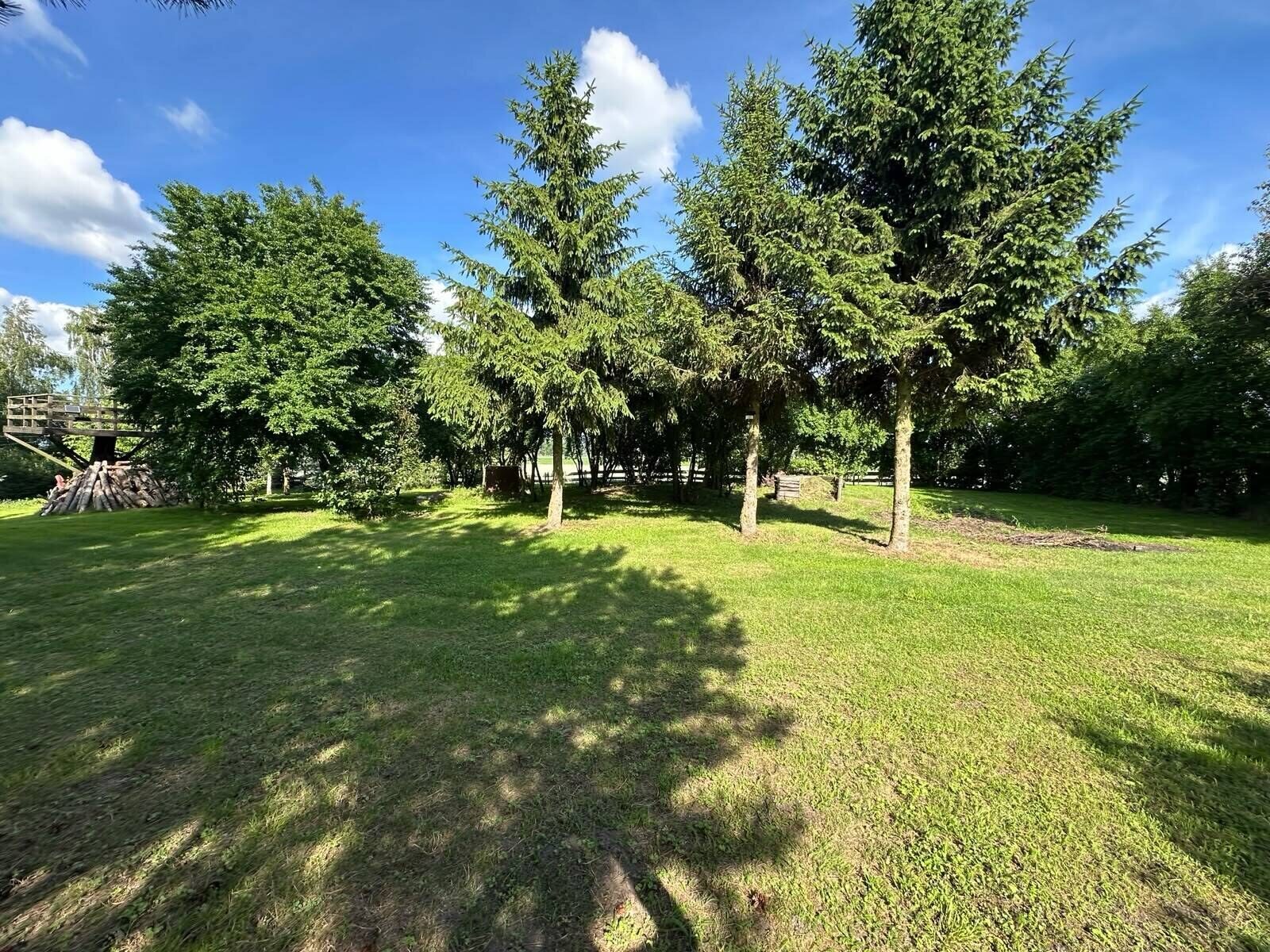 Zdjęcie 29