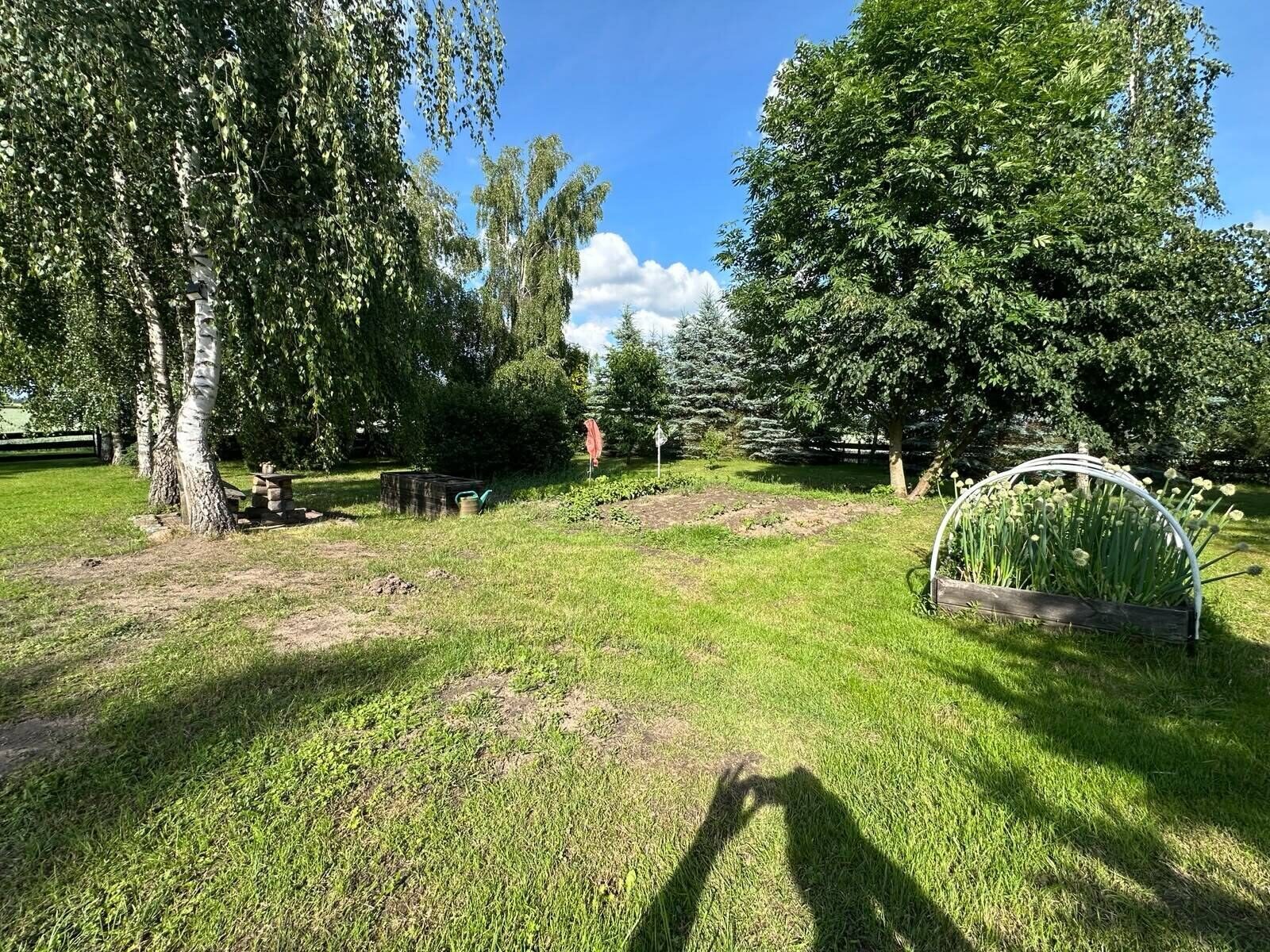 Zdjęcie 55