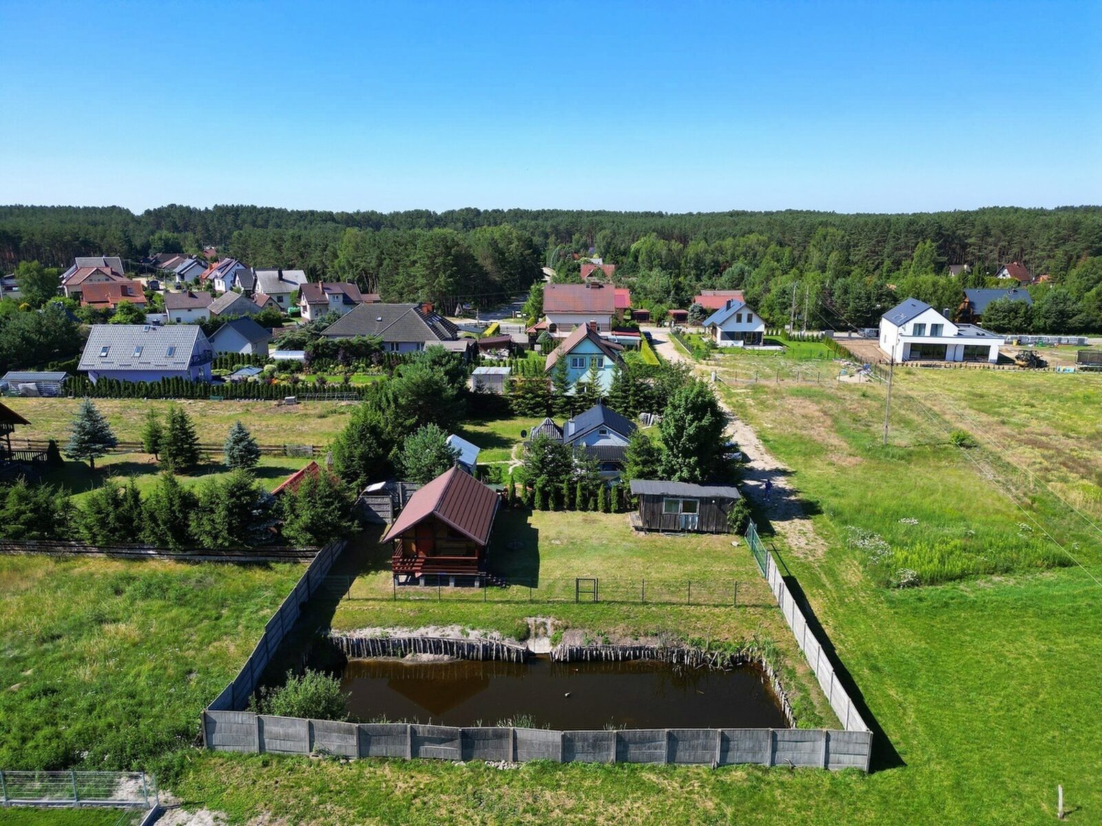 Zdjęcie 3