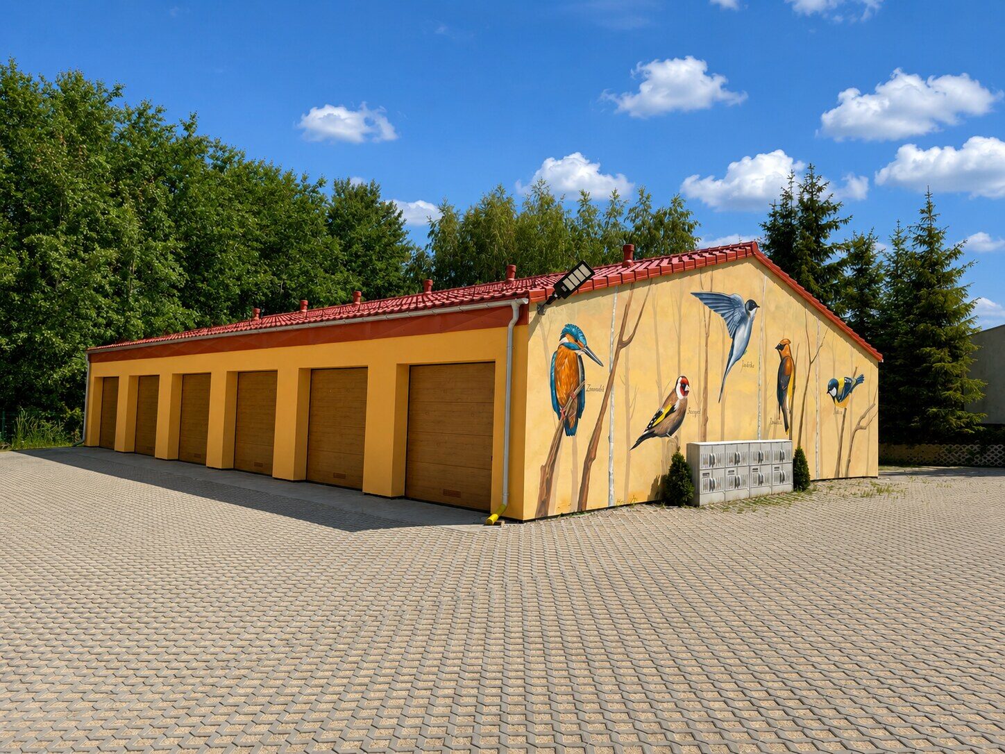 Zdjęcie 19