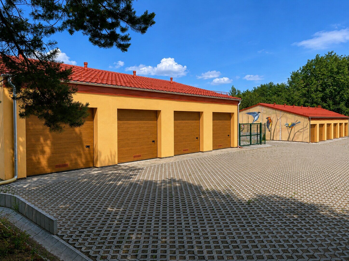 Zdjęcie 20