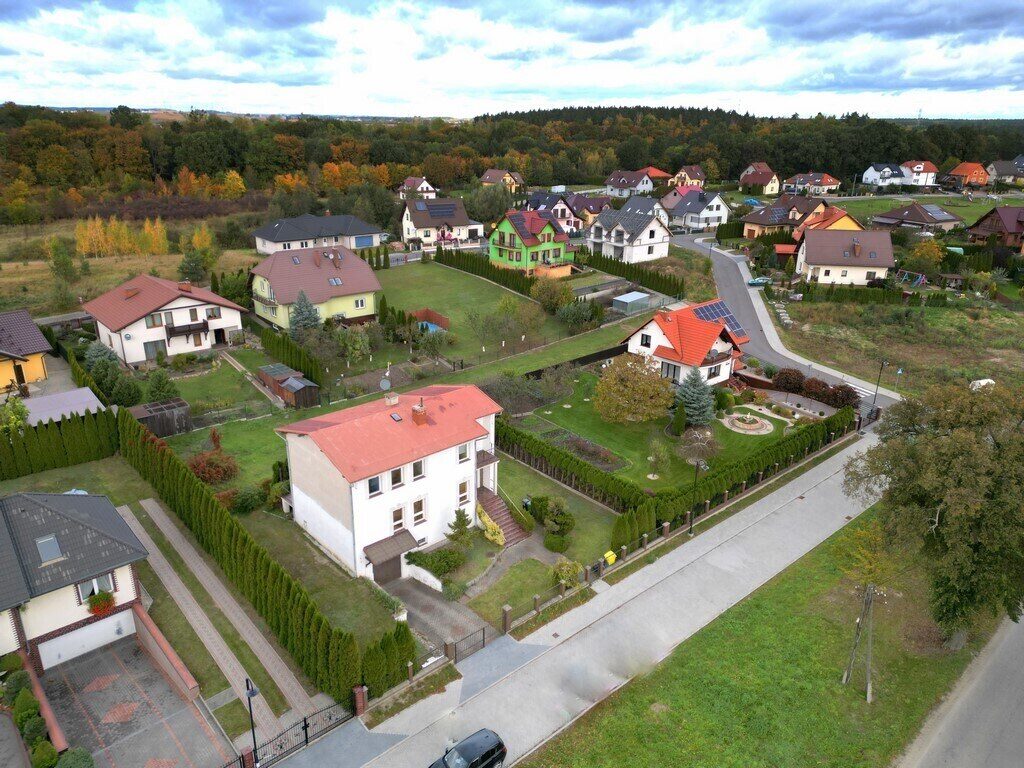 Zdjęcie 13