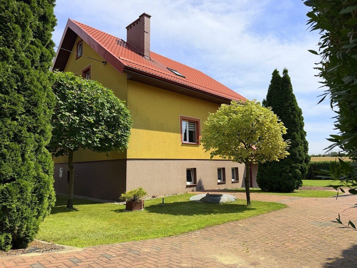 Zdjęcie 11