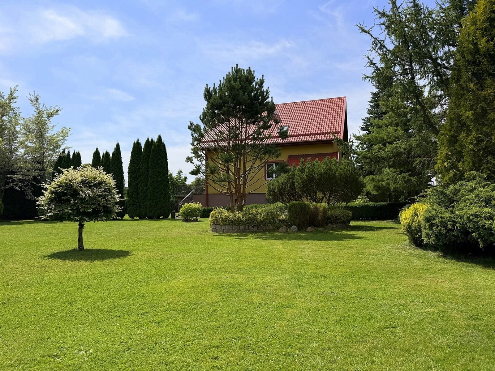 Zdjęcie 13