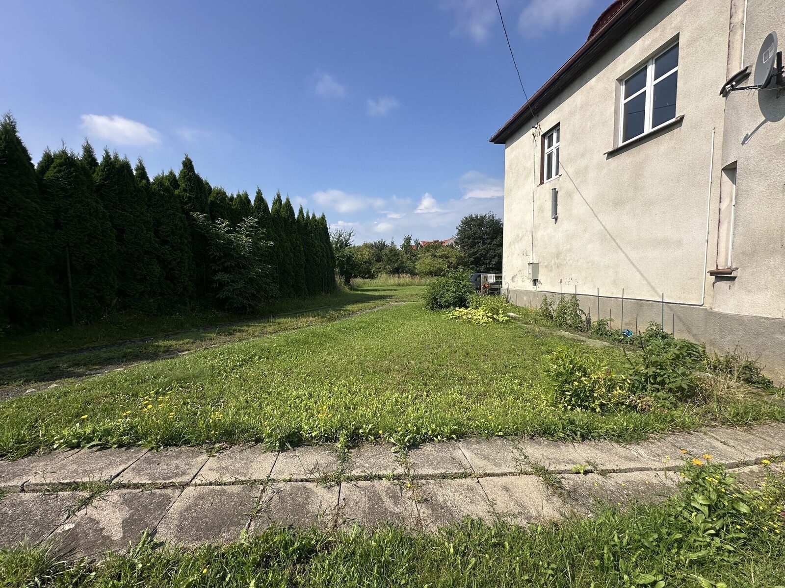 Zdjęcie 30