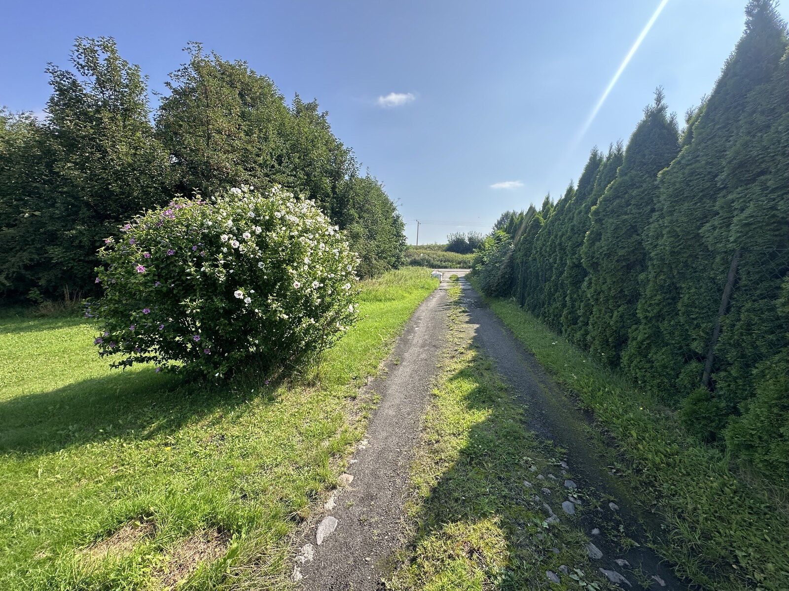 Zdjęcie 17