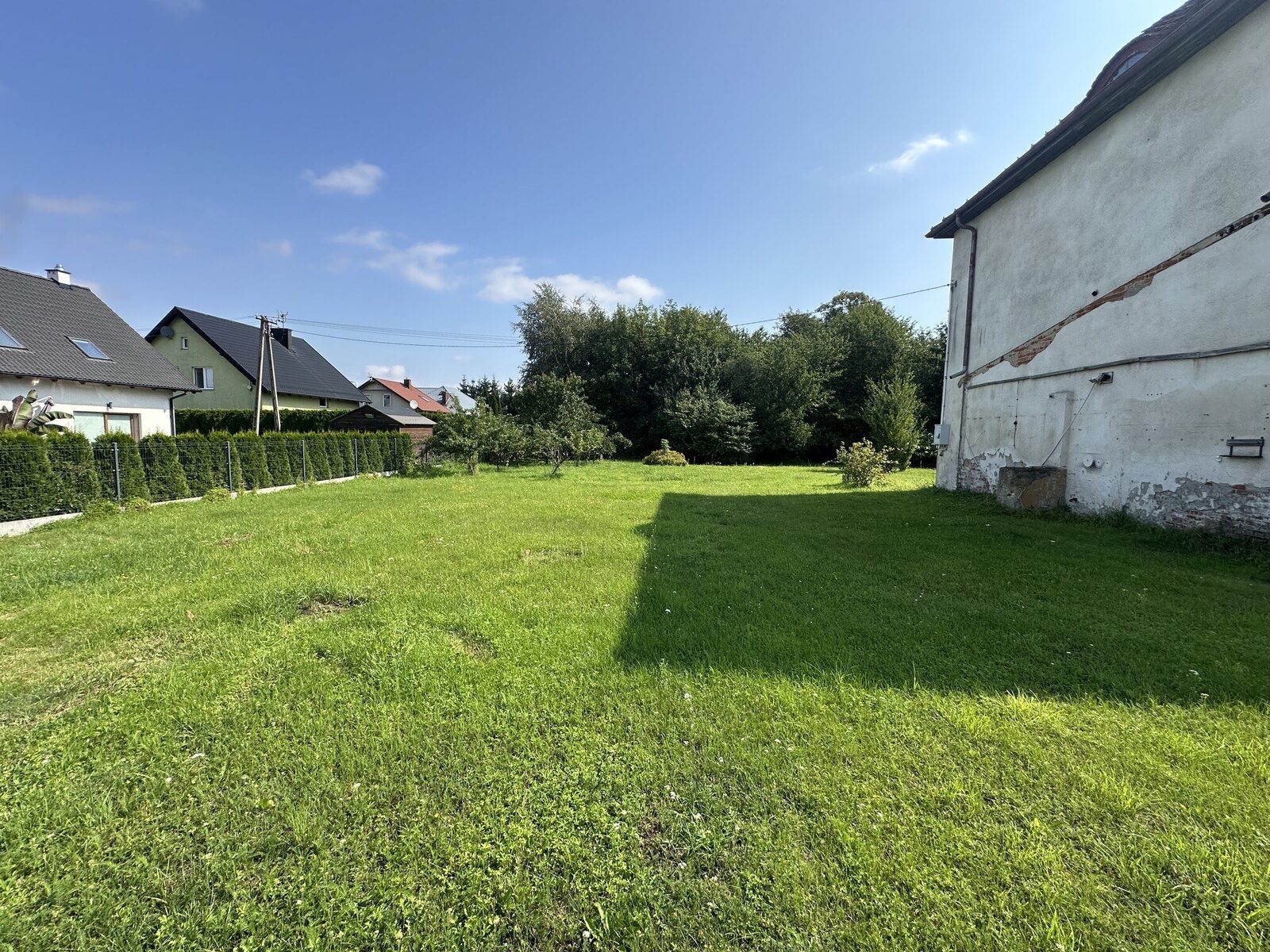 Zdjęcie 33