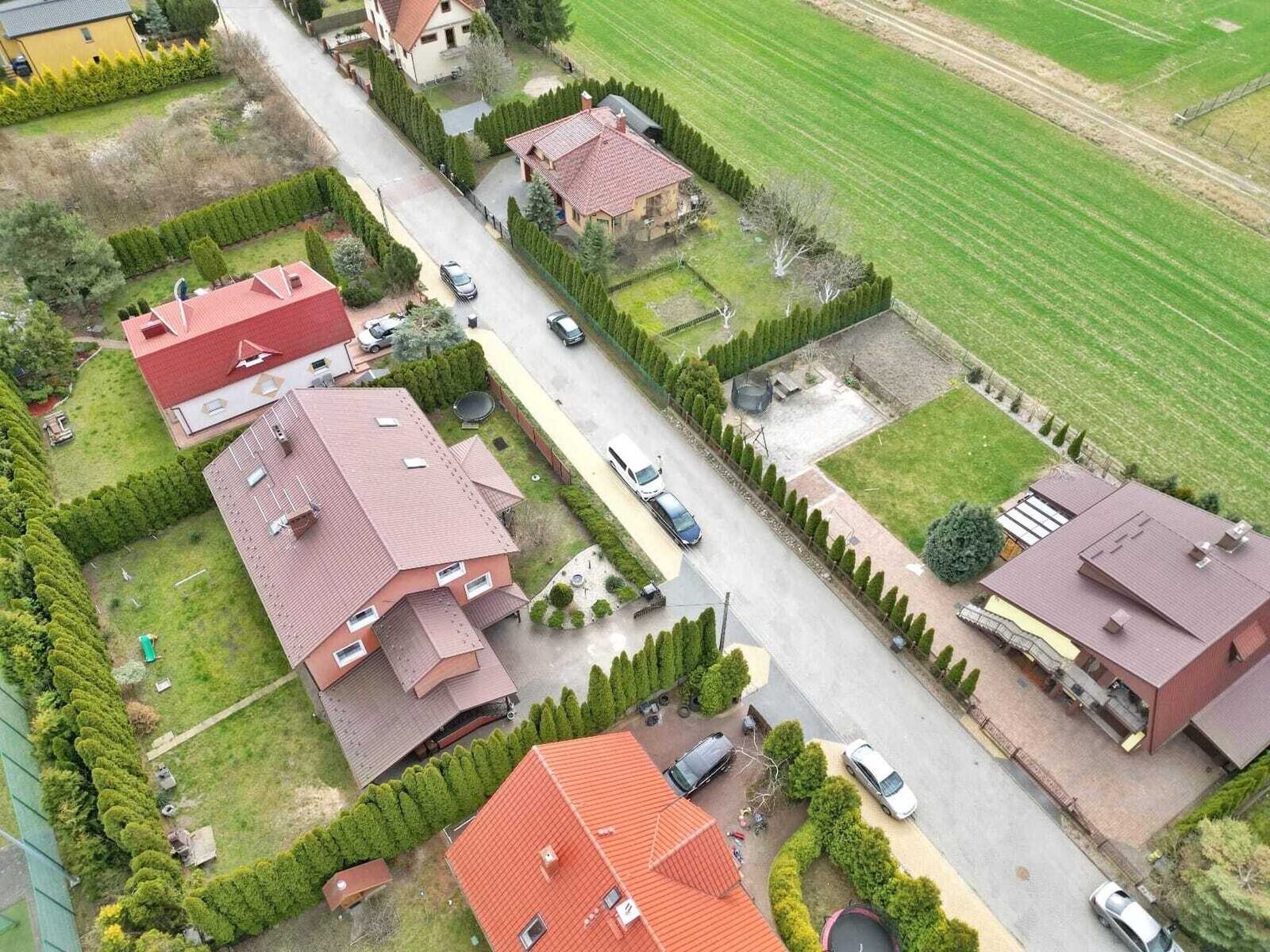 Zdjęcie 19