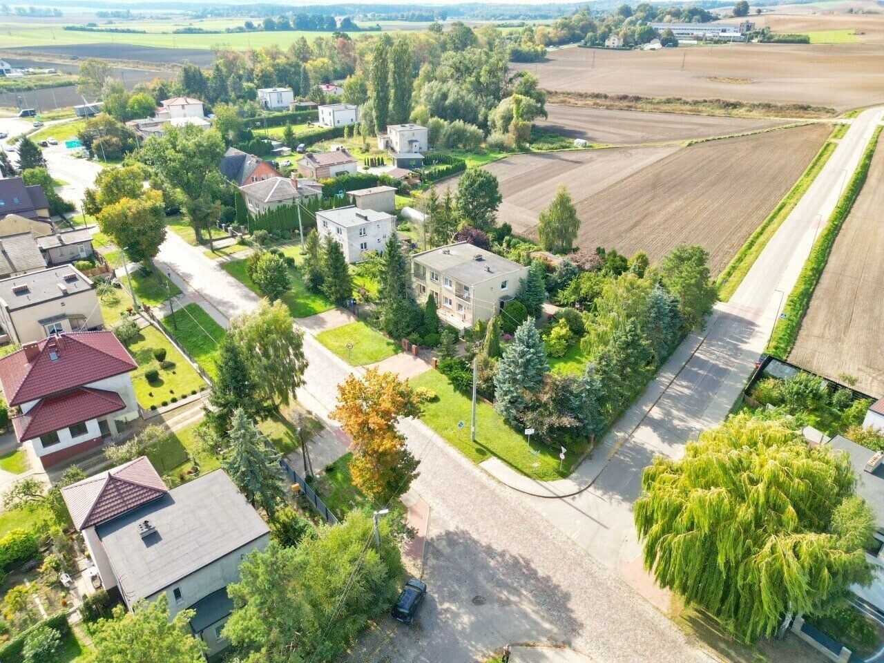 Zdjęcie 12