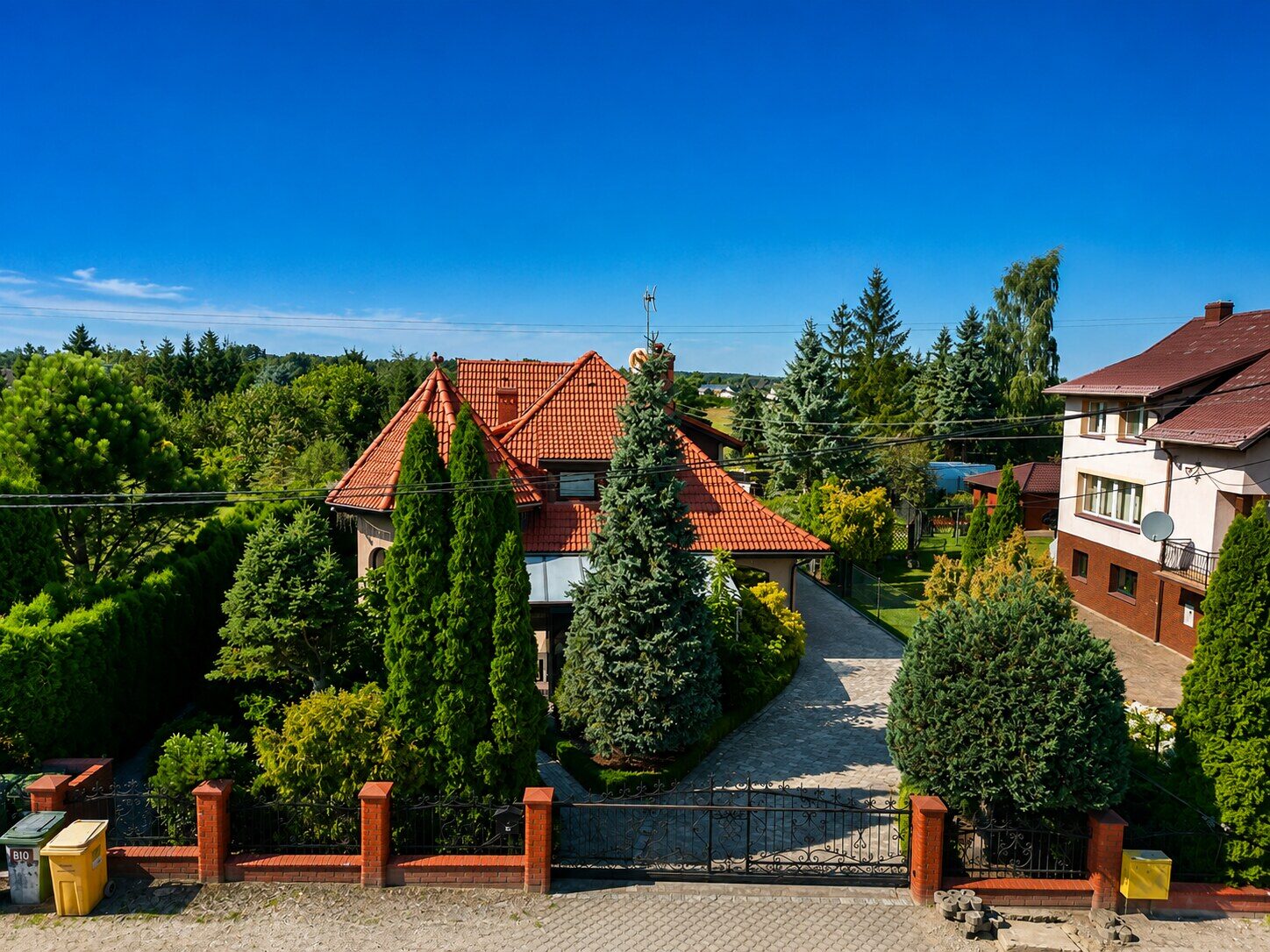 Zdjęcie 41
