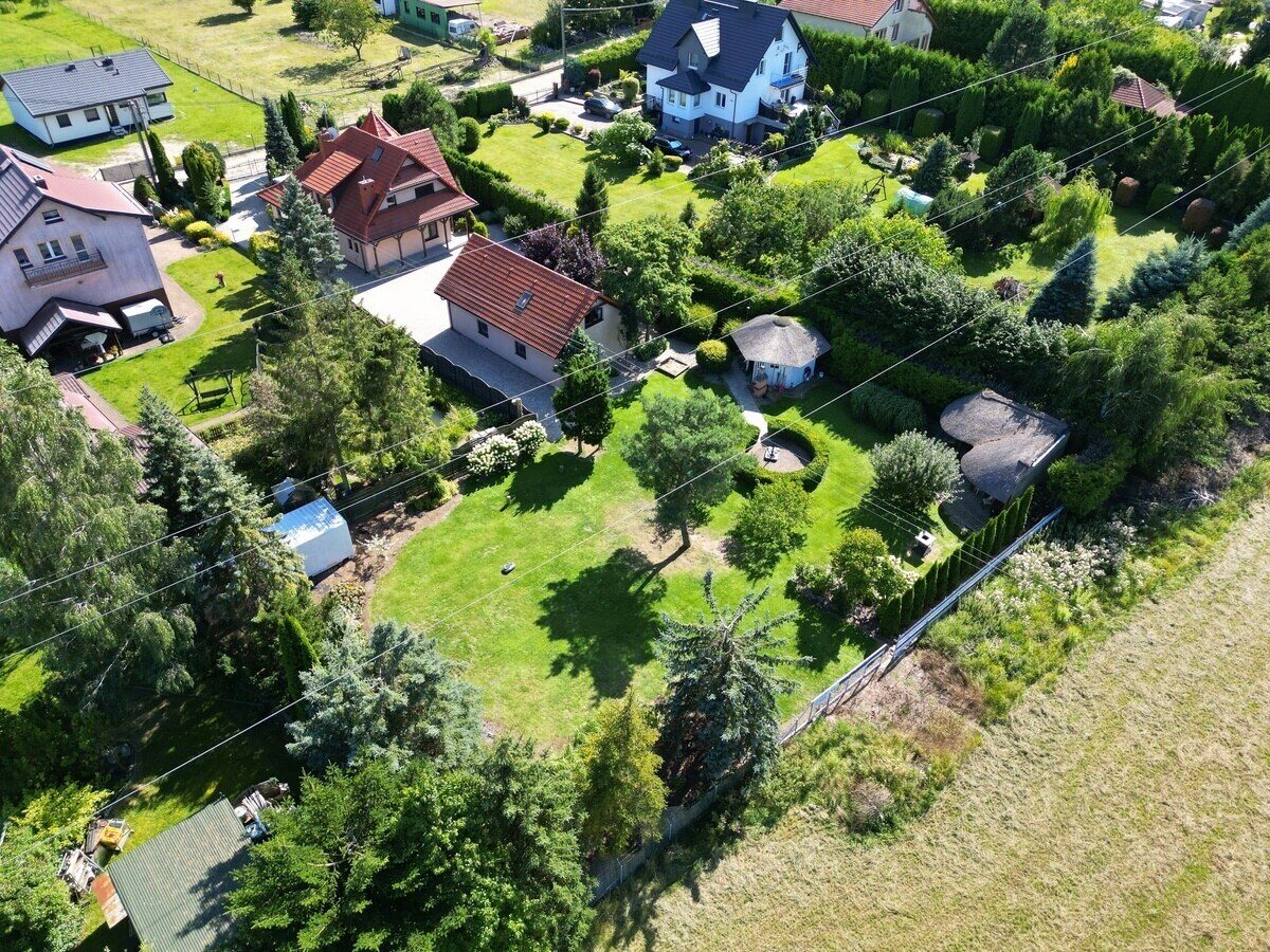 Zdjęcie 42