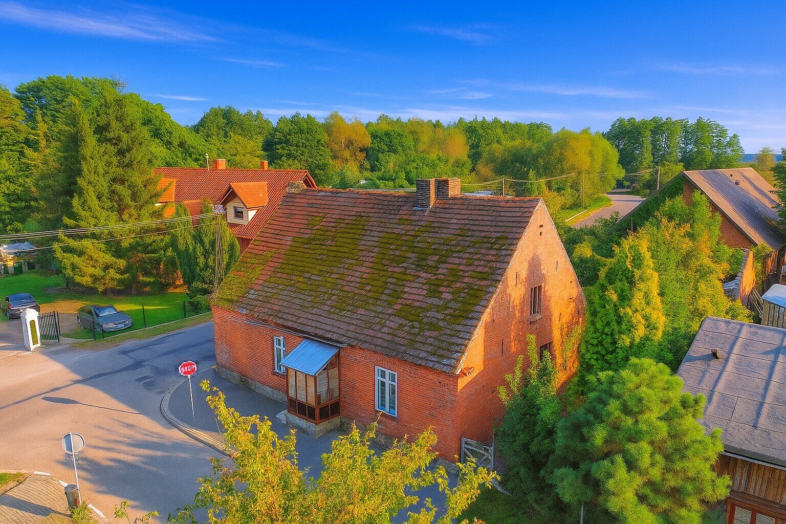 Zdjęcie 1