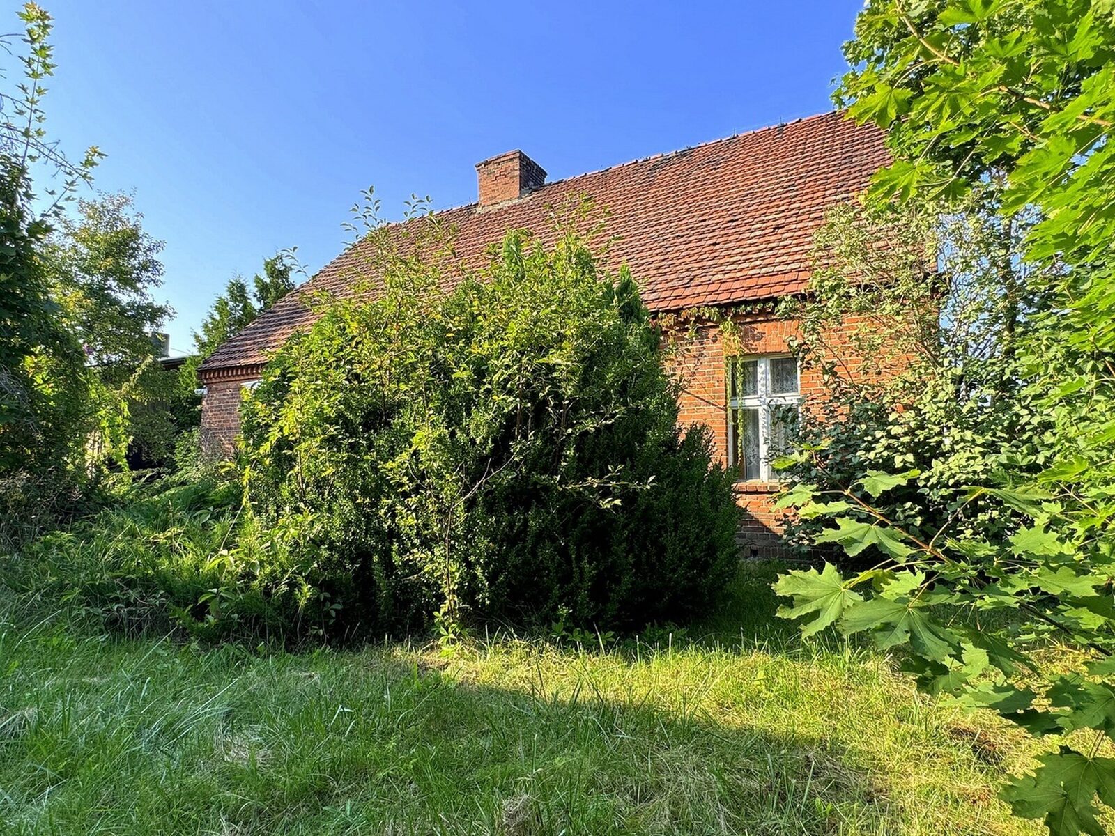 Zdjęcie 12