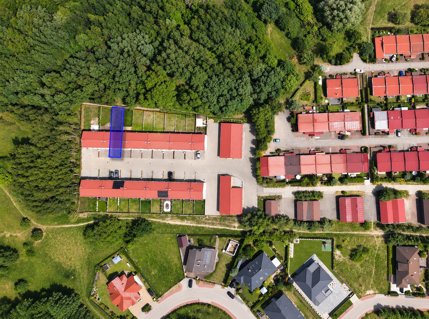 Zdjęcie 19