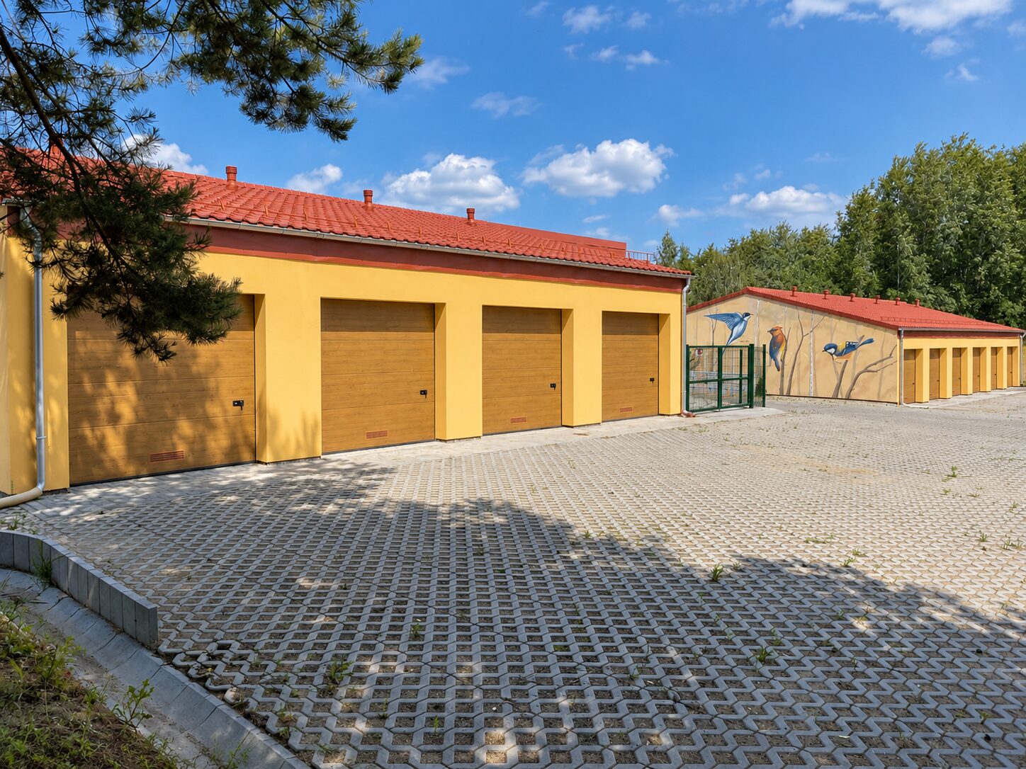 Zdjęcie 16