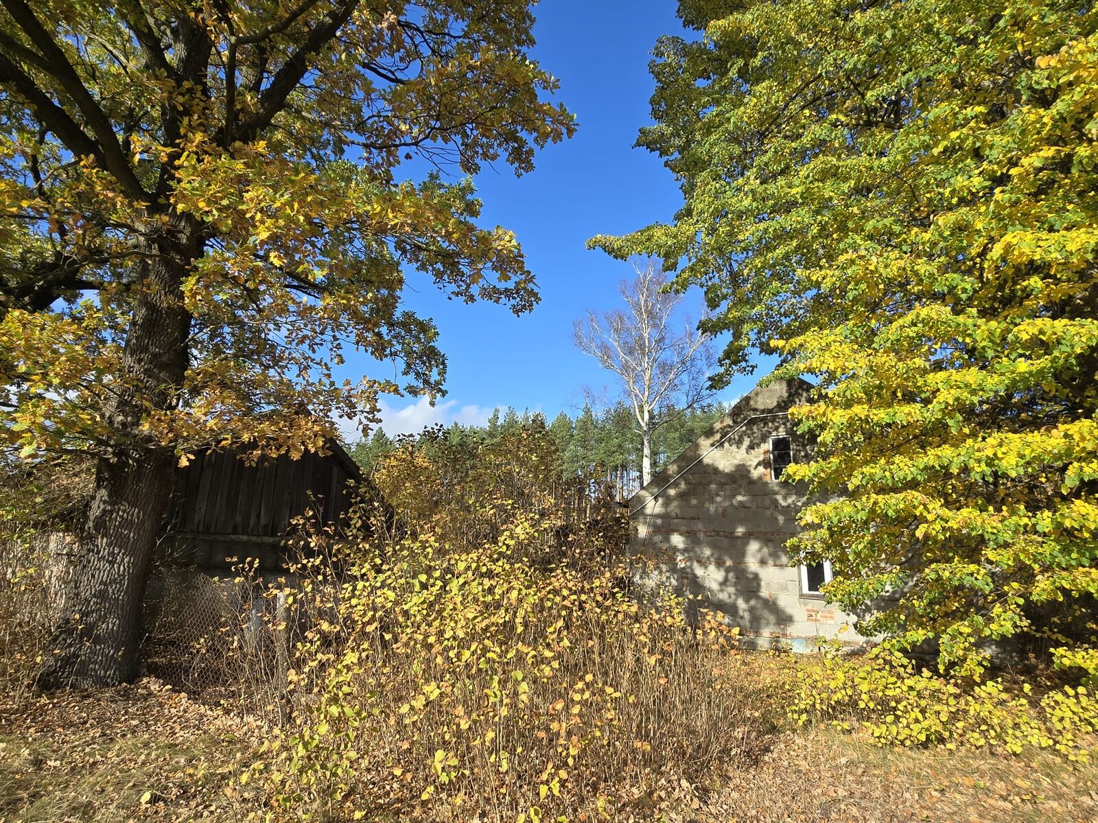 Zdjęcie 16