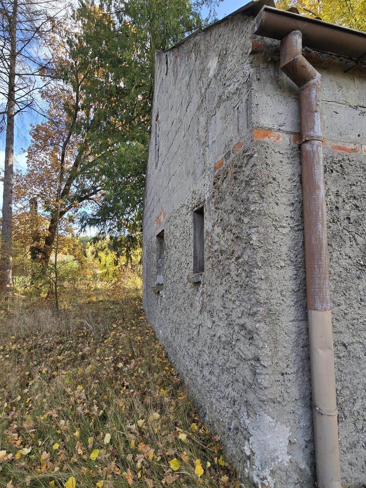 Zdjęcie 10