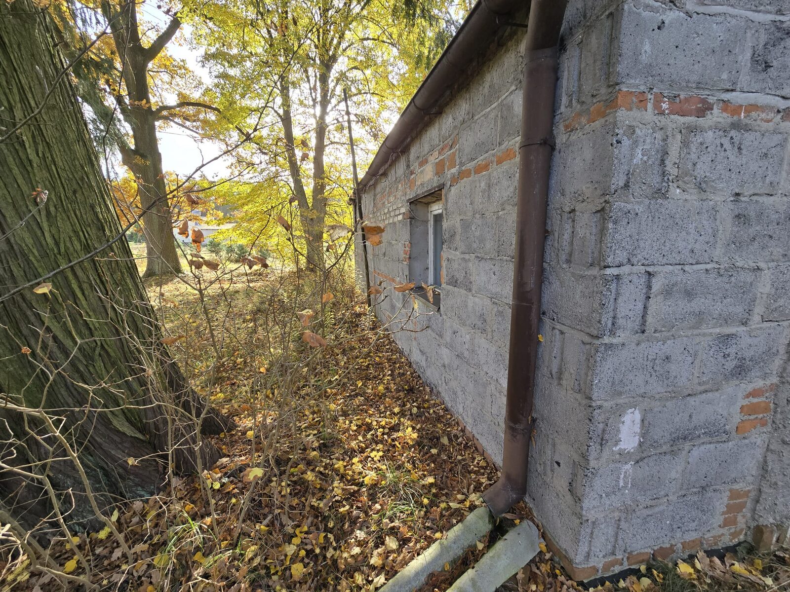Zdjęcie 12