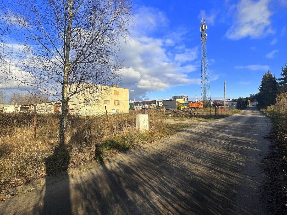 Zdjęcie 11