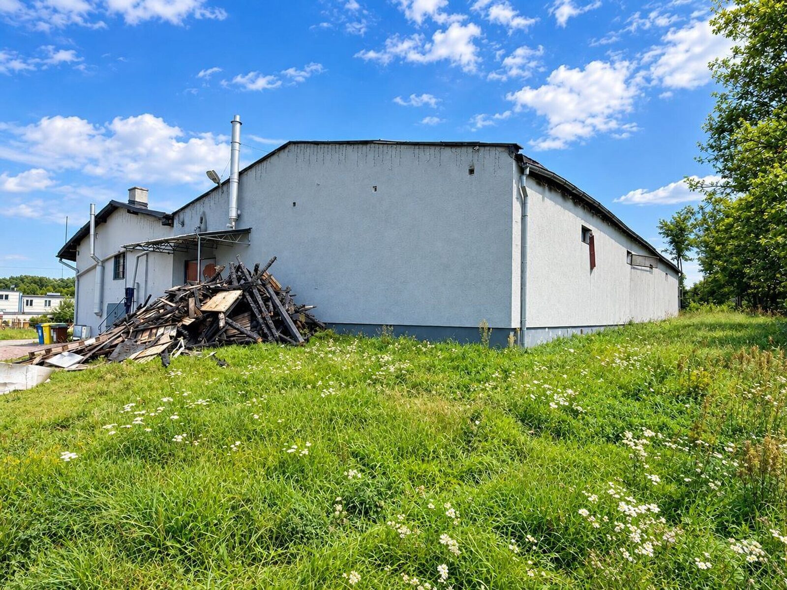 Zdjęcie 12