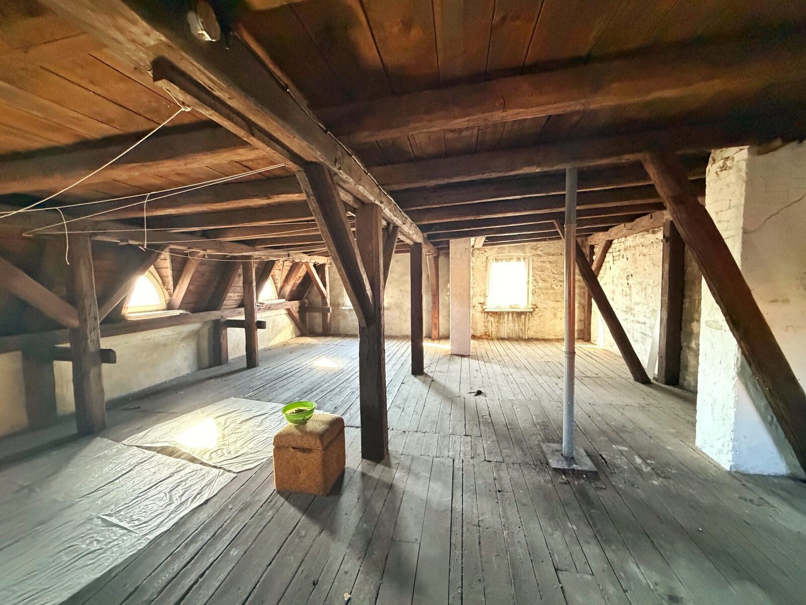 Zdjęcie 16