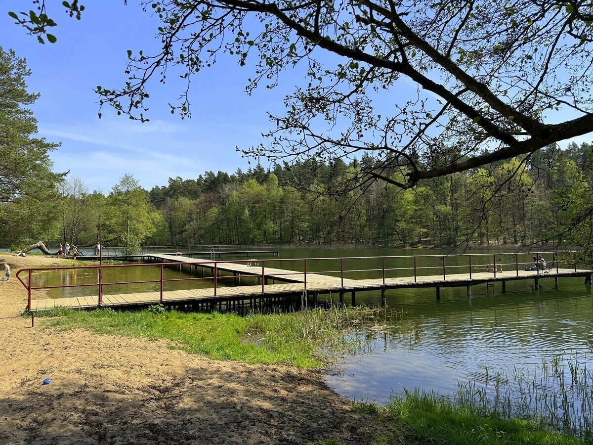 Zdjęcie 24