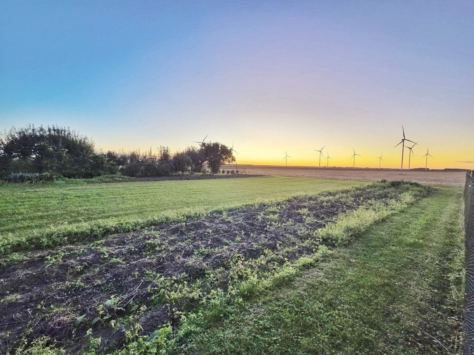 Zdjęcie 11