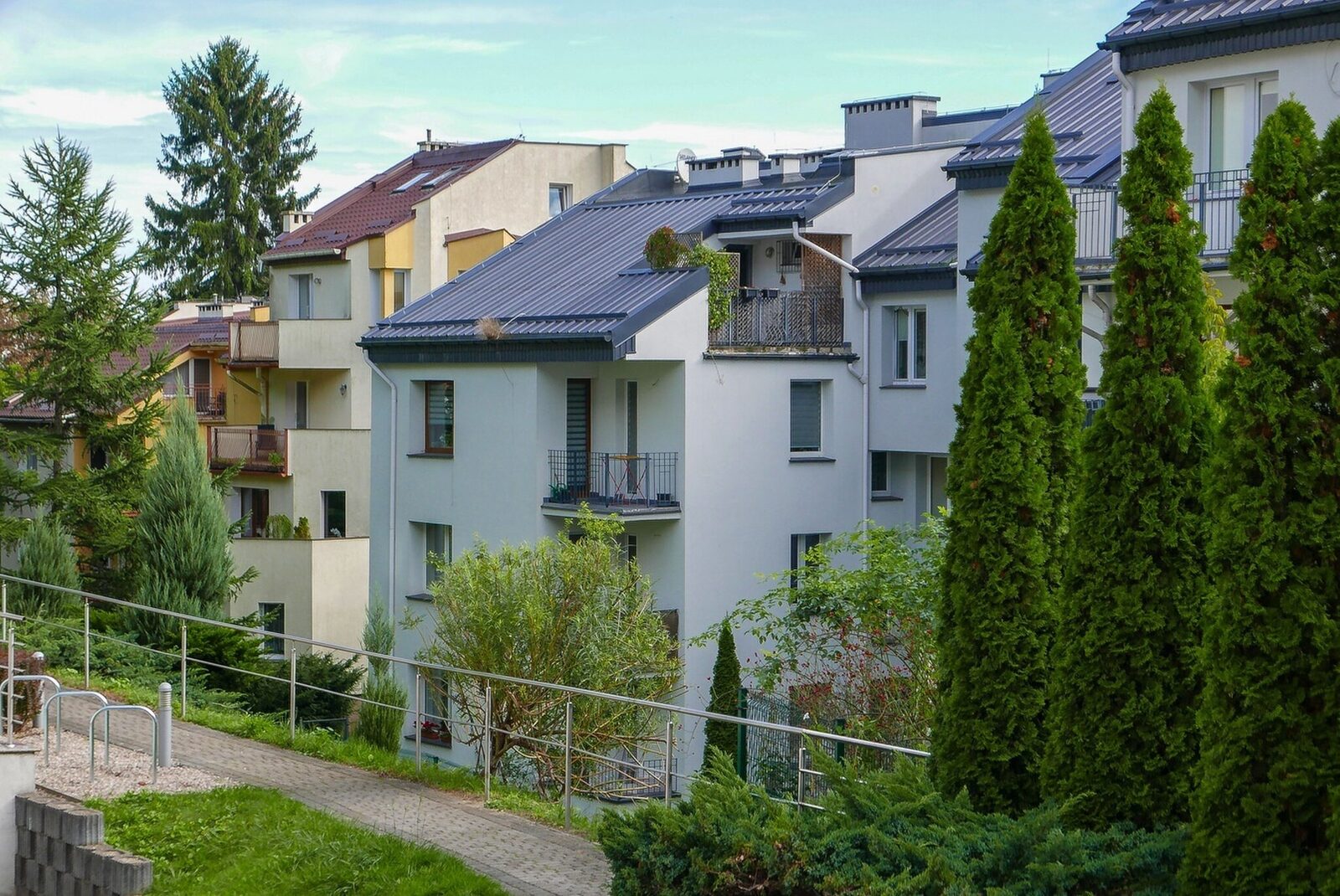 Zdjęcie 19