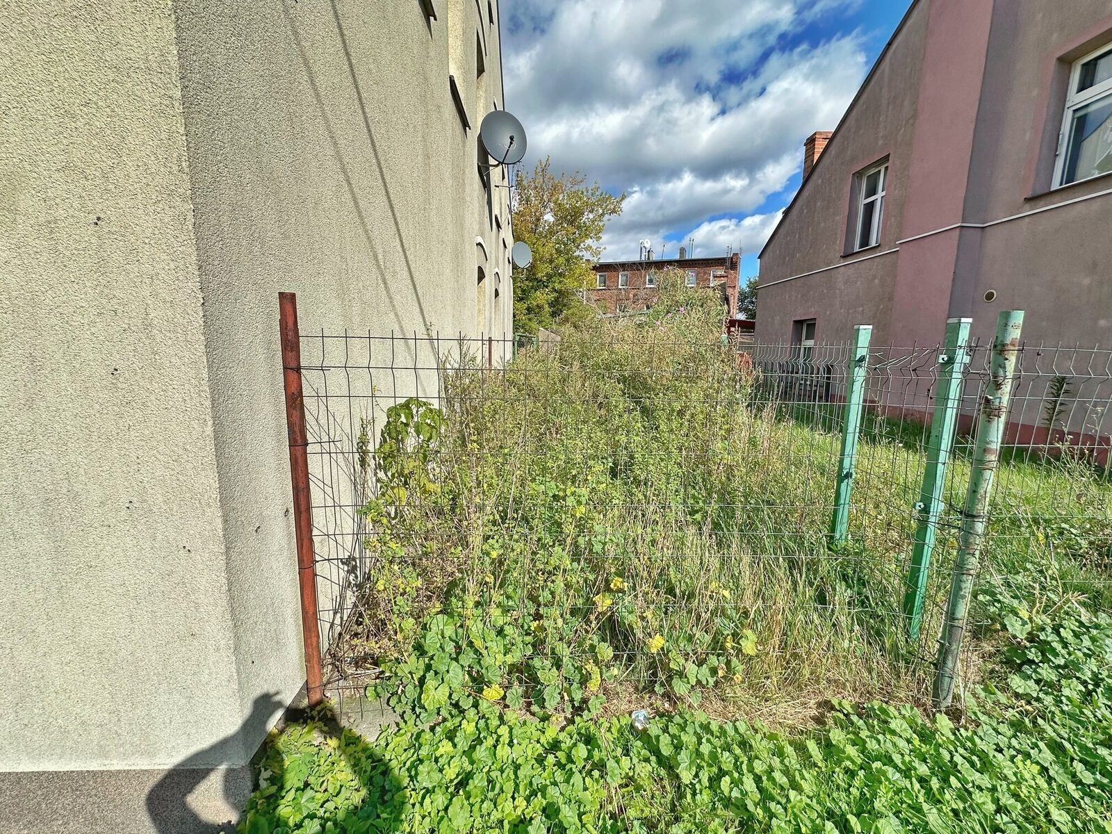 Zdjęcie 10
