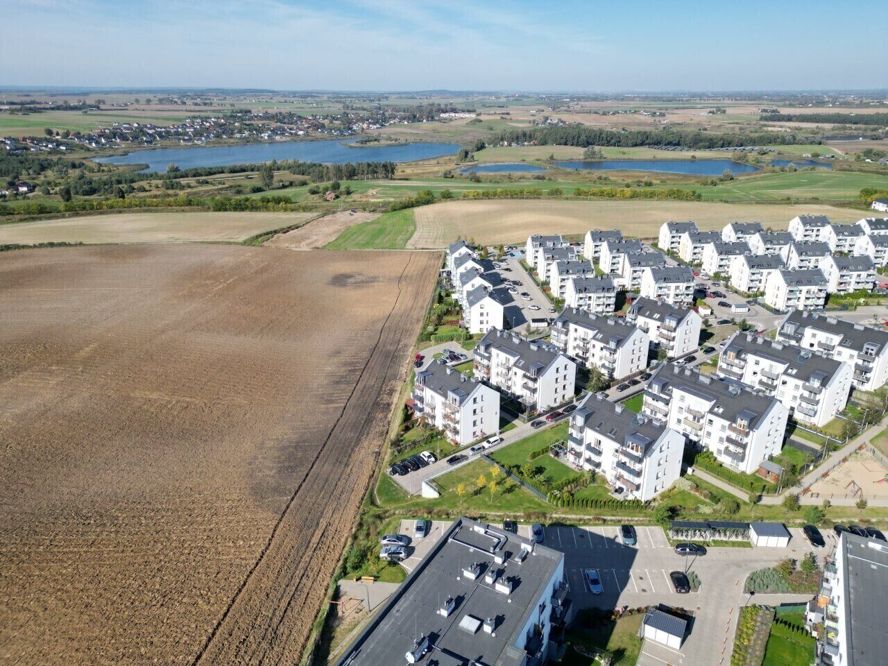 Zdjęcie 1