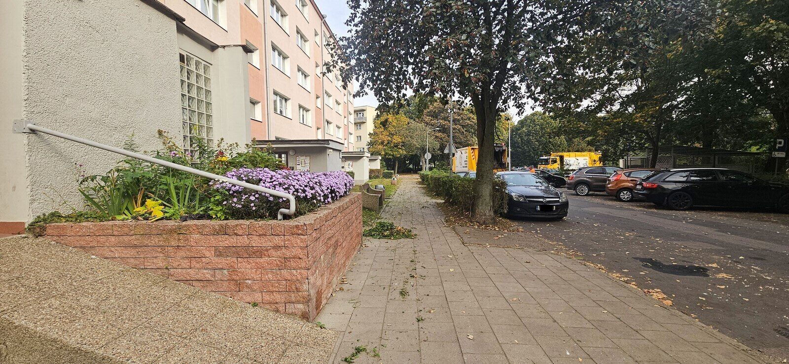 Zdjęcie 6