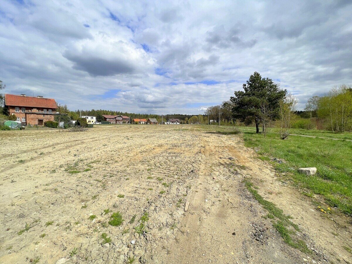 Zdjęcie 15
