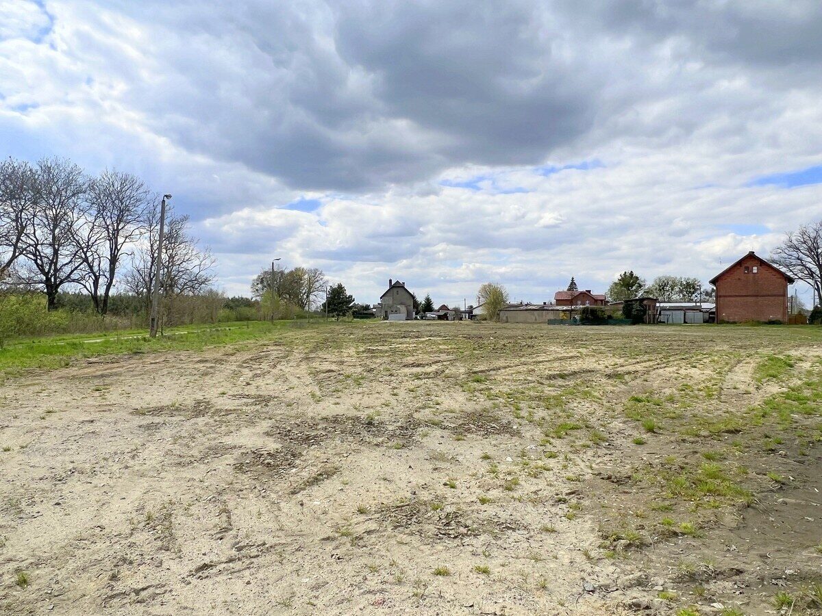 Zdjęcie 16