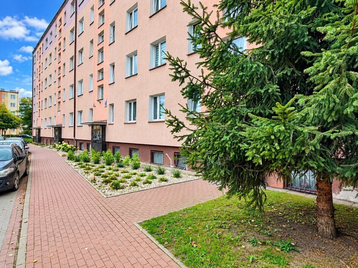 Zdjęcie 3
