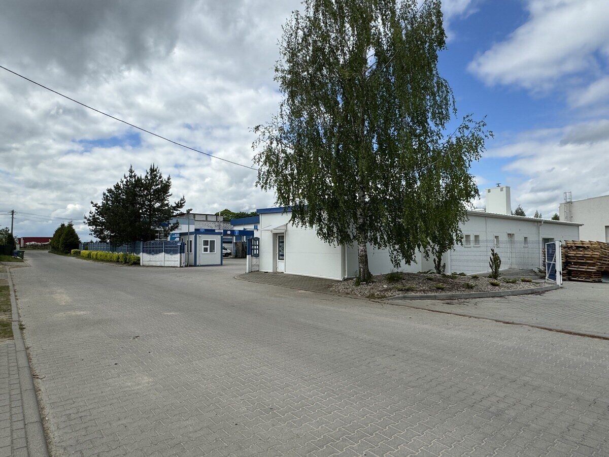 Zdjęcie 6