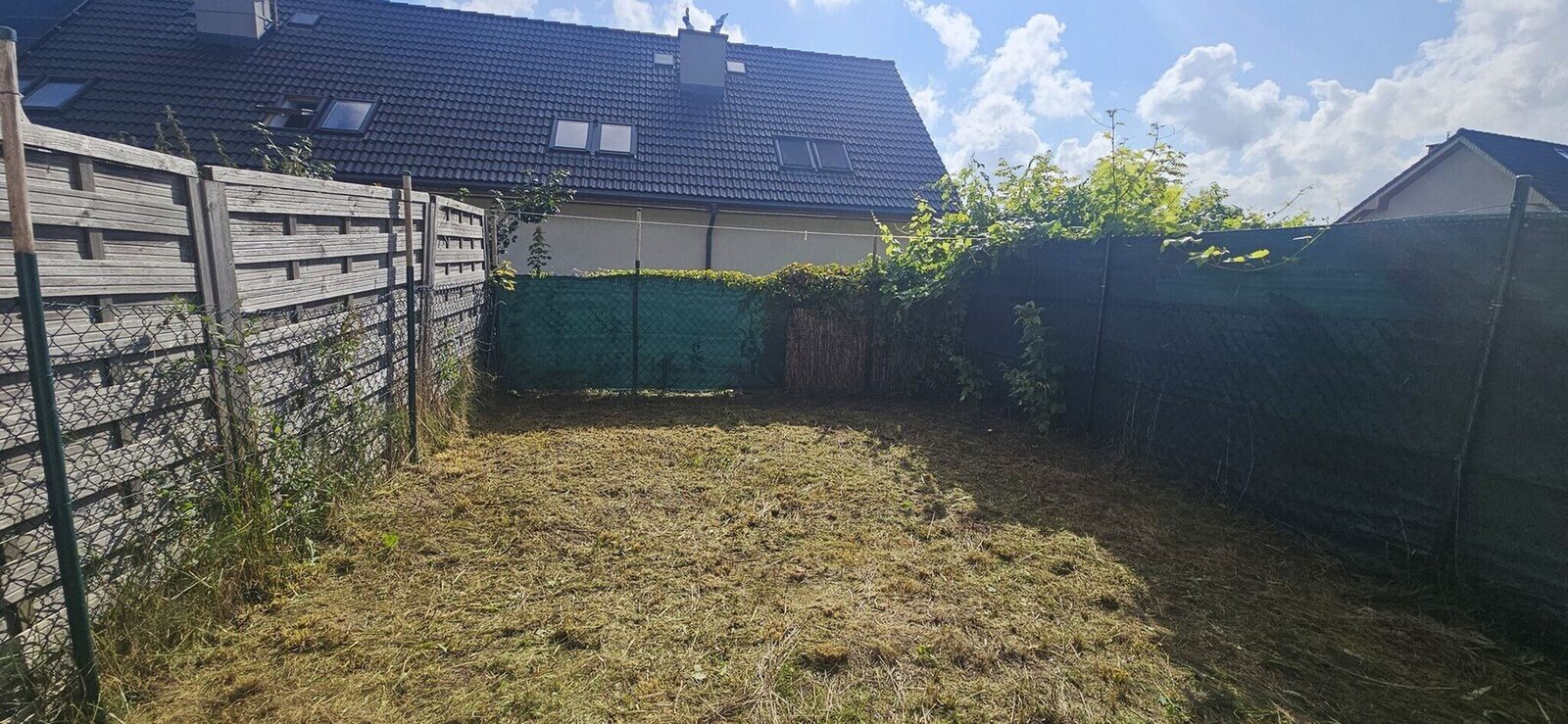 Zdjęcie 13